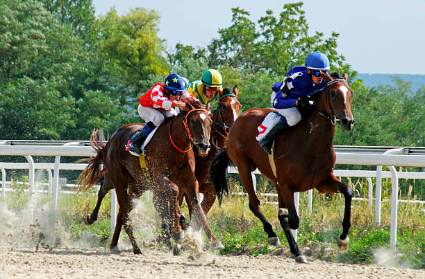 istock Horse racing in Pyatigorsk. 609796134