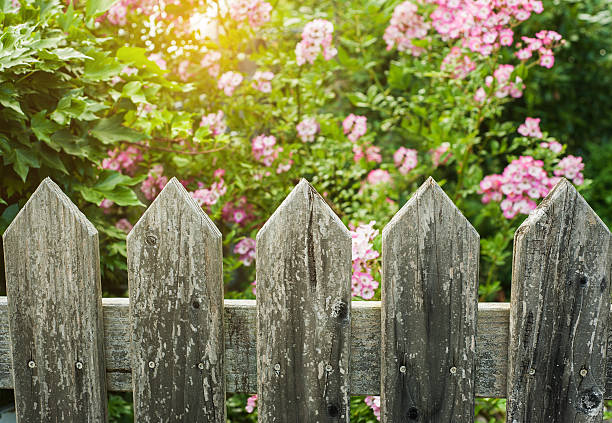 istock County style wooden fence 609796848
