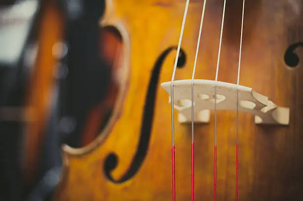 Double bass bridge and string close up, selective focus on chords and colorful background