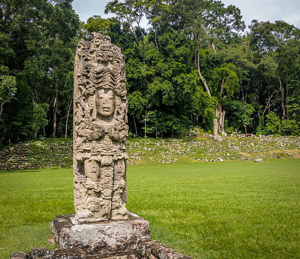 Carved Stella in Mayan Ruins - Copan Archaeological Site, Honduras Carved Stella in Mayan Ruins - Copan Archaeological Site, Honduras architectural stele stock pictures, royalty-free photos & images