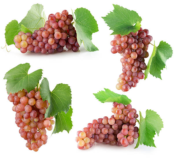istock collection of pink grapes isolated on the white background 609801364