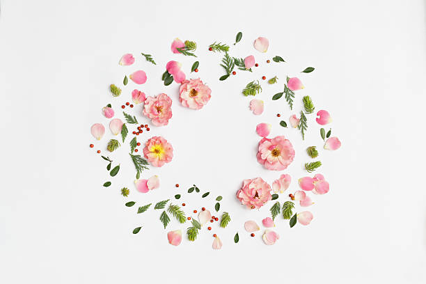 istock Floral round frame on white background. Flat lay, top view. 609801462