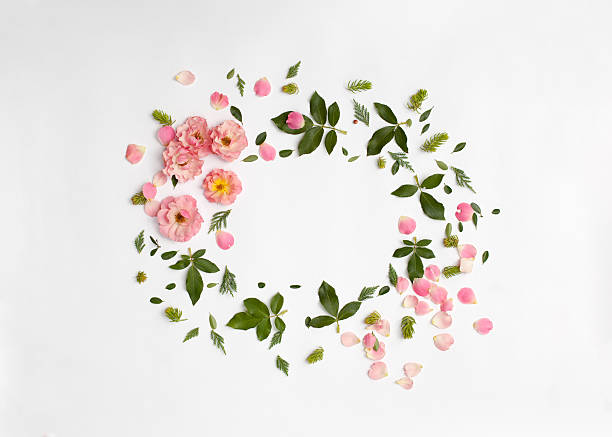 istock Floral frame with rose flowers, petals, succulent plants 609801602