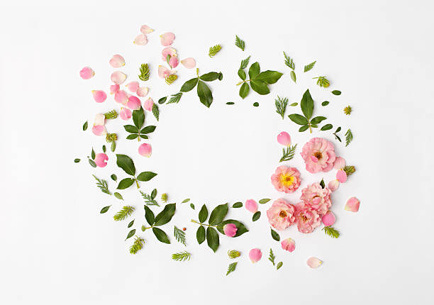 istock Flat nature floral round frame on white background, top view. 609801672