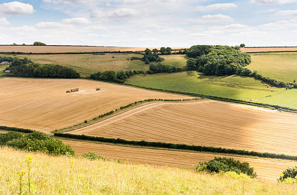 Cerne Valley and the Dorset Downs Fields of crops and pasture in the Cerne Valley, nestled in the rolling landscape of England's Dorset Downs. cerne abbas giant stock pictures, royalty-free photos & images