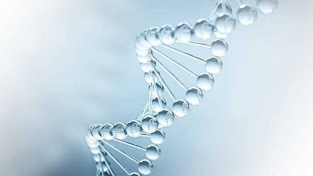 dna science background - illustrazione 3d - dna helix helix model evolution foto e immagini stock