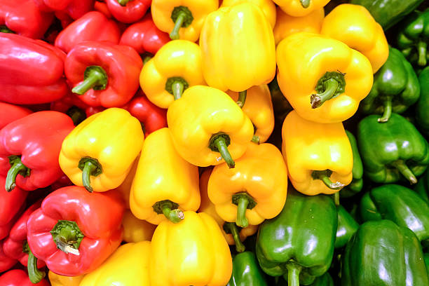 istock Yellow, red and green bell pepper 609805122