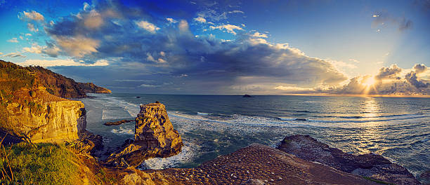 praia de muriwai, costa oeste de auckland, nova zelândia - murawai beach - fotografias e filmes do acervo