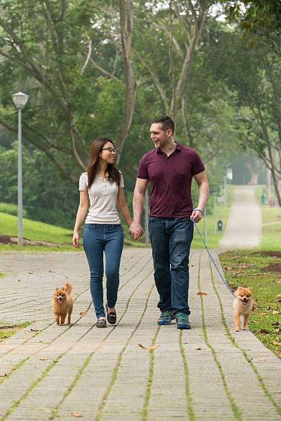 istock Happy Mixed Race Couple with Pomeranian 609806274
