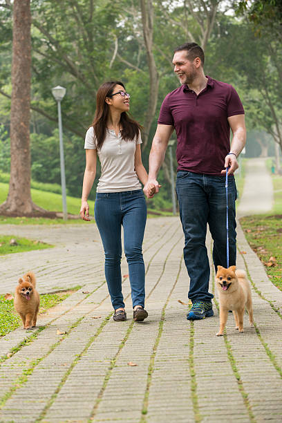 istock Happy Mixed Race Couple with Pomeranian 609806308