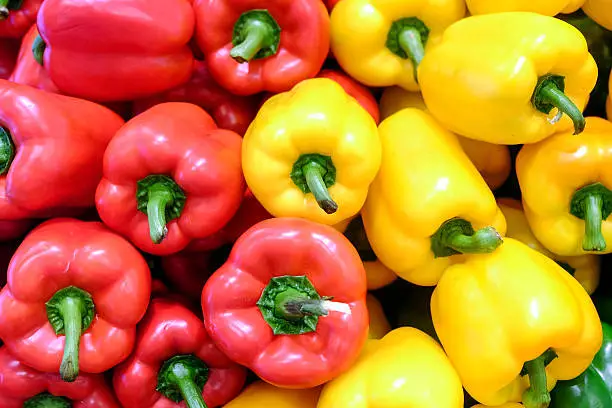 Photo of Yellow, red and green bell pepper