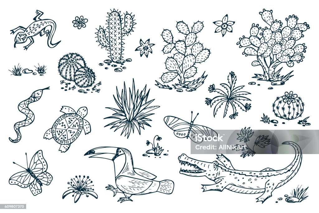 Nature Of Mexico Plants And Animals Mexican Flora And Fauna Stock  Illustration - Download Image Now - iStock