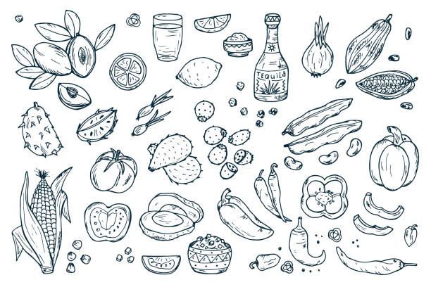 мексика вектор набор. мексиканская еда. свежие фрукты, овощи, текила - bean dip stock illustrations