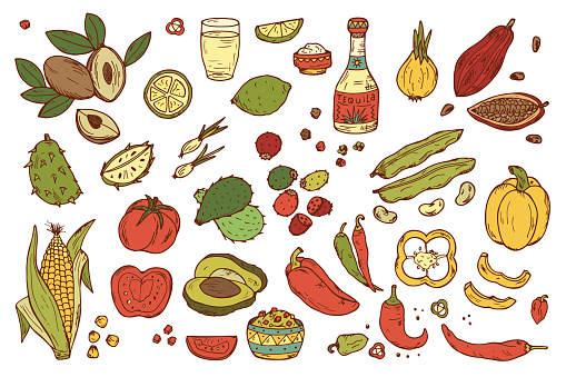 Mexico Vector set. Mexican Food - Hand drawn doodle Fresh Fruits, Vegetables, Tequila