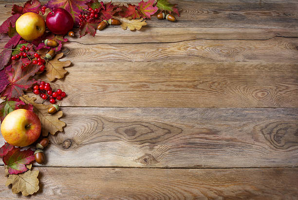 istock Border of apples, acorns, berries and fall leaves 609807978