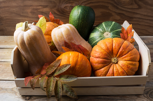Ripe pumpkins in wooden box. Autumn seasonal vegetables on rustic background