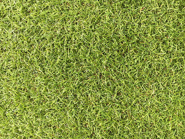 istock Top View of Artificial Grass Green Background Texture 609808868