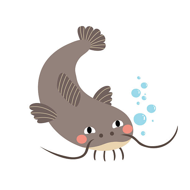 illustrations, cliparts, dessins animés et icônes de poisson-chat animal dessin animé personnage vector illustration. - fish tank