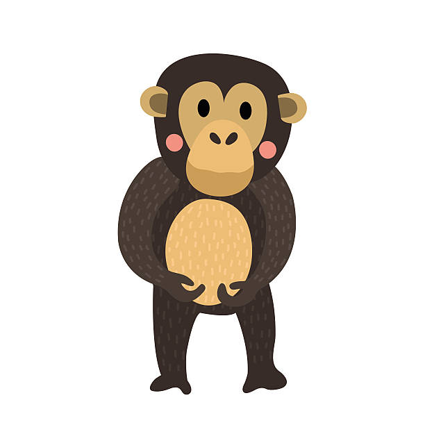 Chimpanzee Animal Cartoon Character Vector Illustration Stock Illustration  - Download Image Now - iStock