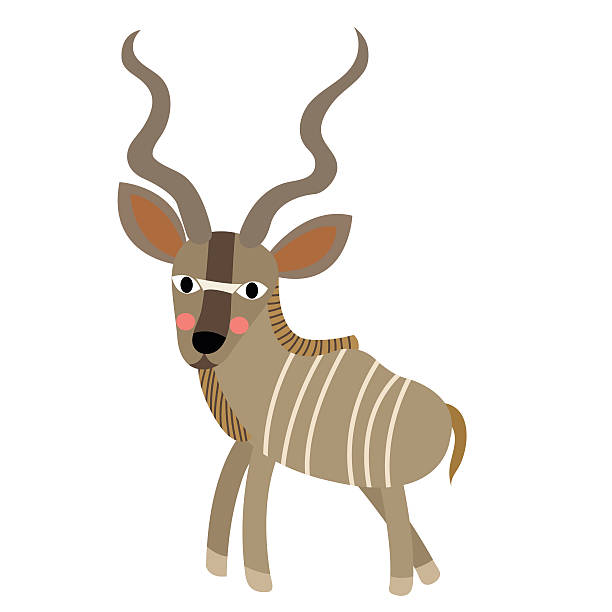 Kudu animal cartoon character vector illustration. Kudu animal cartoon character. Isolated on white background. Vector illustration. antelope bongo stock illustrations
