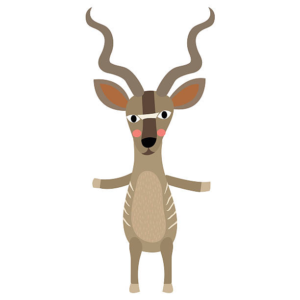Kudu standing on two legs animal cartoon character vector illustration. Kudu standing on two legs animal cartoon character. Isolated on white background. Vector illustration. bushbuck stock illustrations