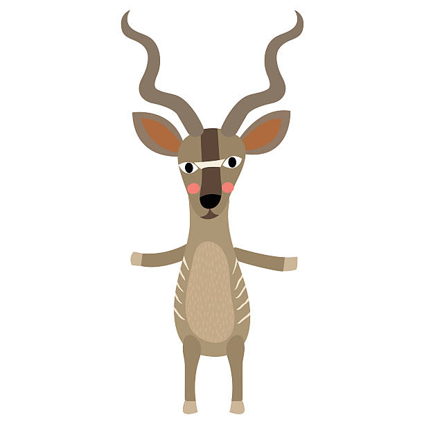 Kudu standing on two legs animal cartoon character vector illustration. Kudu standing on two legs animal cartoon character. Isolated on white background. Vector illustration. antelope bongo stock illustrations