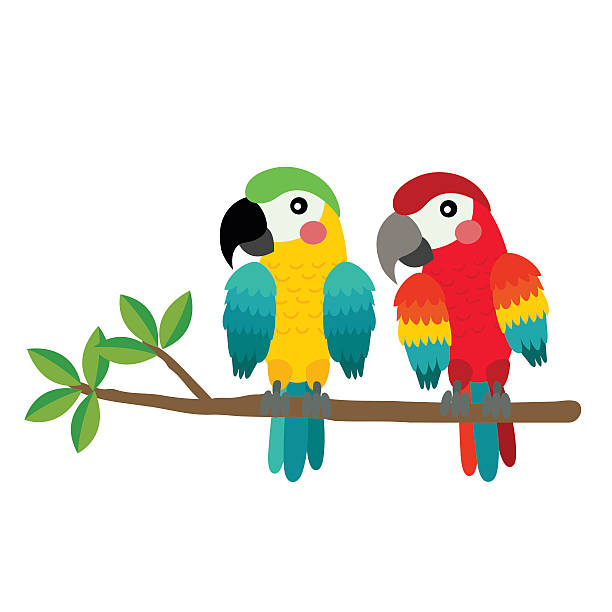 ilustrações, clipart, desenhos animados e ícones de ilustração vetorial de desenho animado de pássaro-papagaio colorido. - parrot multi colored bird perching