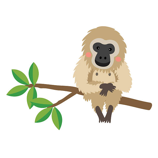 gibbon tier cartoon charakter vektor-illustration. - gibbon rainforest animal ape stock-grafiken, -clipart, -cartoons und -symbole