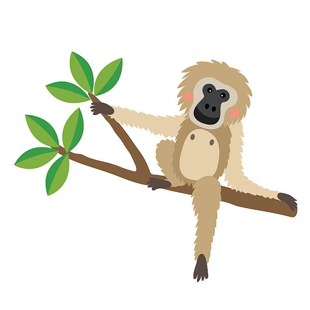 gibbon sitzt auf zweig tier cartoon charakter vektor-illustration. - gibbon rainforest animal ape stock-grafiken, -clipart, -cartoons und -symbole