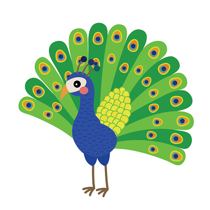 Cartoon Peacock clip art free vector | Download it now!