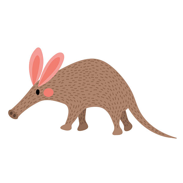 illustrazioni stock, clip art, cartoni animati e icone di tendenza di walking aardvark animale cartone animato personaggio illustrazione vettoriale. - oritteropo