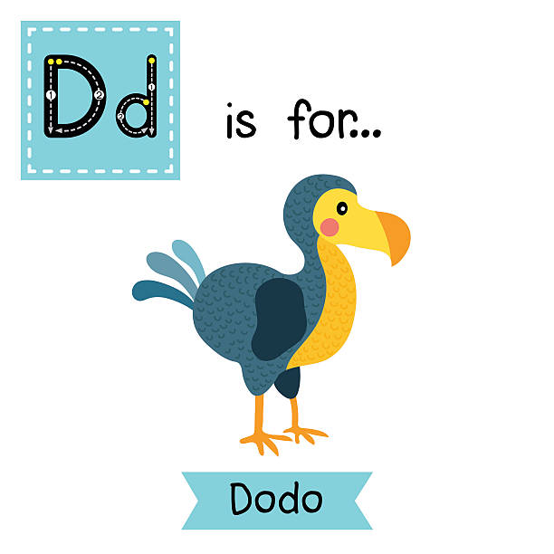 отслеживание буквы d. птица додо. - letter d alphabet alphabetical order backgrounds stock illustrations