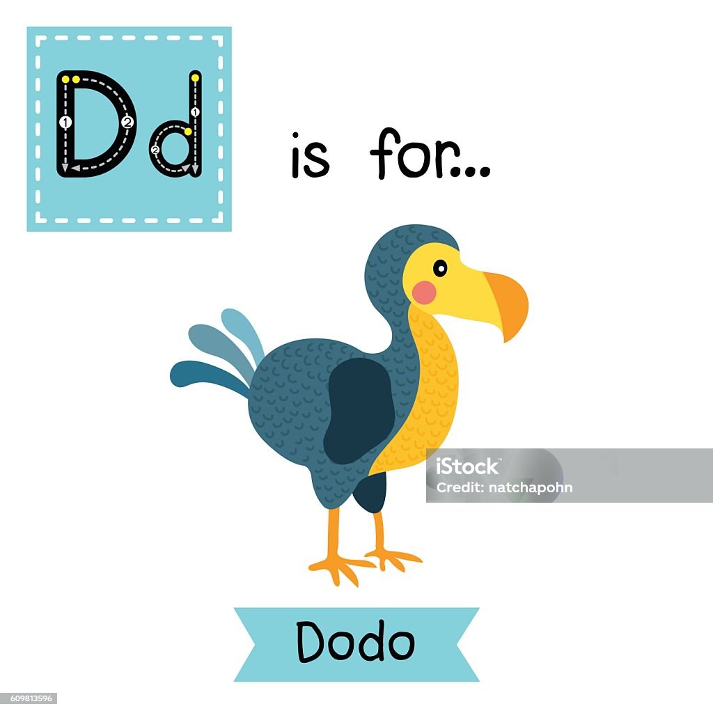 Letter D tracing. Dodo bird. D letter tracing. Dodo bird. Cute children zoo alphabet flash card. Funny cartoon animal. Kids abc education. Learning English vocabulary. Vector illustration. Alphabet stock vector