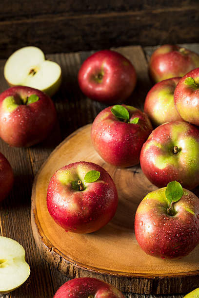 원시 유기농 레드 매킨토시 사과 - macintosh apples 이미지 뉴스 사진 이미지