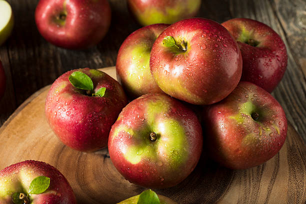 raw organic red mcintosh apples - macintosh apple imagens e fotografias de stock