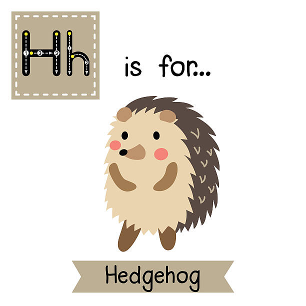 Letter H Tracing Hedgehog Standing On Two Legs Stock Illustration -  Download Image Now - Alphabet, Alphabetical Order, Animal - iStock