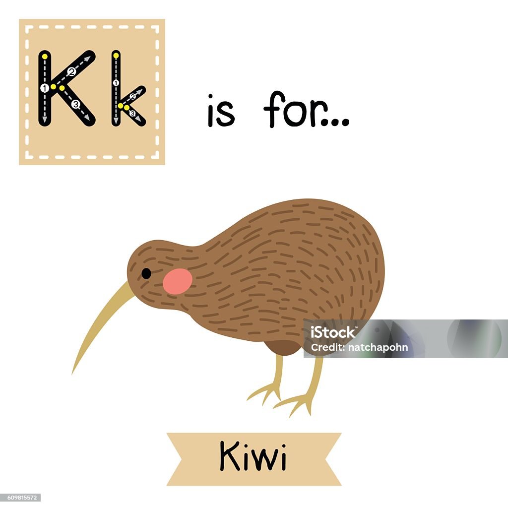 Letter K Tracing Kiwi Bird Stock Illustration - Download Image Now - Kiwi  Bird, Illustration, New Zealand - iStock