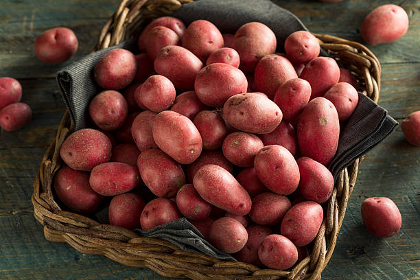 rohe bio-rotkartoffeln - red potato raw potato red vegetable stock-fotos und bilder