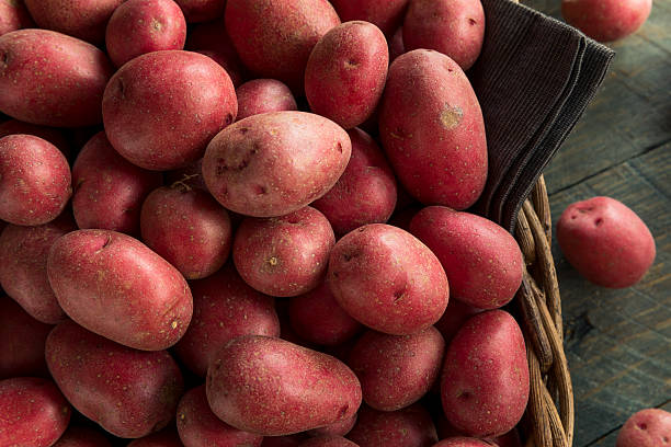 pommes de terre rouges biologiques crues - red potato photos photos et images de collection