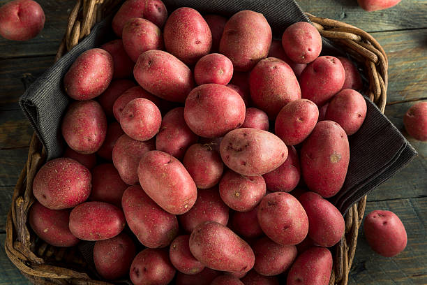 rohe bio-rotkartoffeln - red potato raw potato red vegetable stock-fotos und bilder