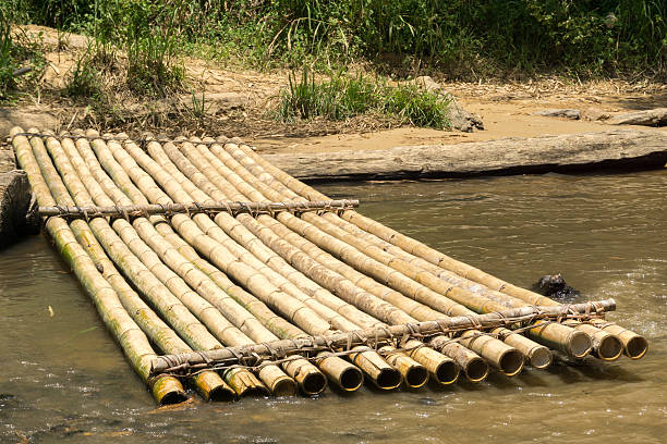 istock Bamboo raft and worn timber log on a river bank 609818732