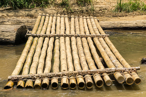 istock Bamboo raft and worn timber log on a river bank 609818762