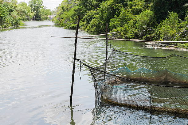 istock fish farm for growing in open  water, and soft-focus  water. 609819190