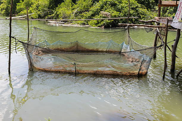 istock fish farm for growing in open  water, and soft-focus  water. 609819390