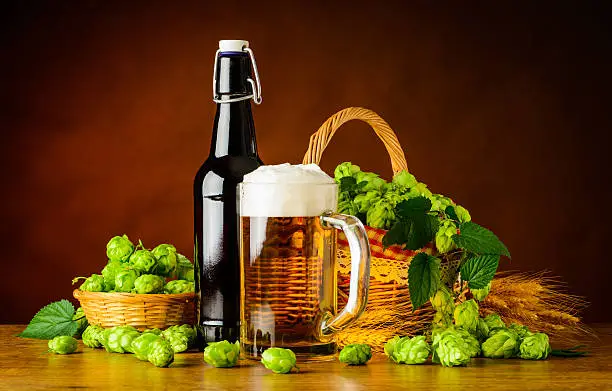 Bottle and Mug of golden beer with hop Flower and wheat.