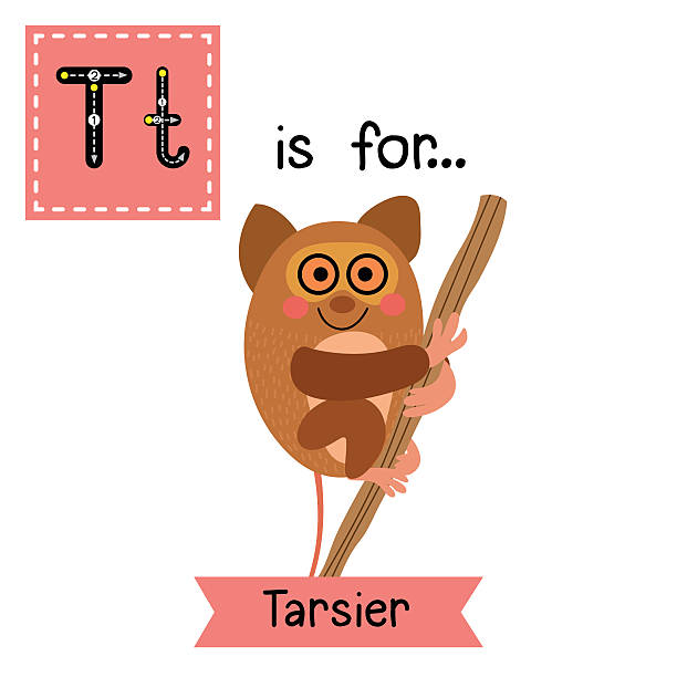 illustrations, cliparts, dessins animés et icônes de traçage de la lettre t. tarsier accroché à l’arbre. - letter t tree typescript alphabet