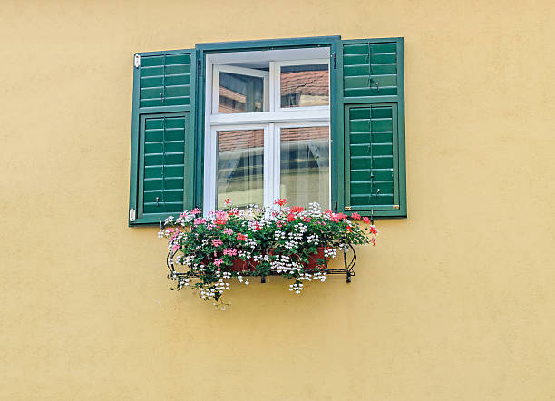 istock Outside green window with colored flowers, yellow wall. 609821864