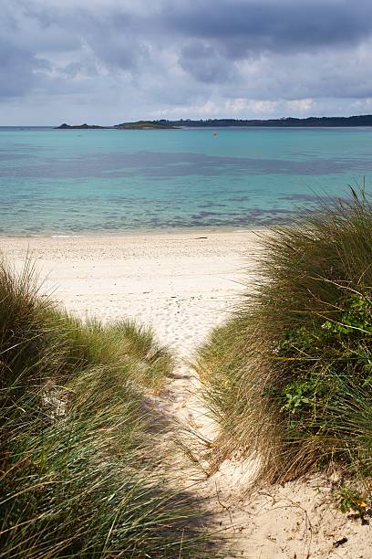 Higher Town Bay, St Martin's, Isles of Scilly, England Sand dunes at Higher Town Bay, St Martin's, Isles of Scilly, Cornwall, England. tresco stock pictures, royalty-free photos & images