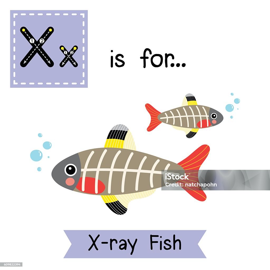 Letter X Tracing Xray Fish Stock Illustration - Download Image Now - Letter  X, Alphabet, Alphabetical Order - iStock
