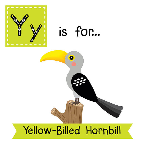 문자 y 추적. 노란색 청구 혼빌 새. - hornbill computer graphic multi colored nature stock illustrations